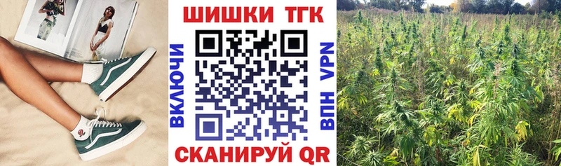 Купить где  Богородск  Бошки Шишки ГИДРОПОН 